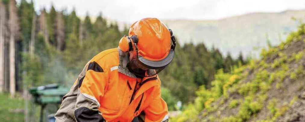 11 Ways to Celebrate Loggers Day: Honor Those Who Logged